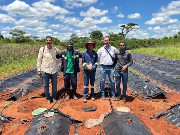 Argentine Specialists Help Mozambique Improve Tomato Production