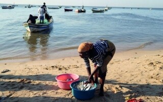 Объем убытков от незаконного рыболовства в Мозамбике